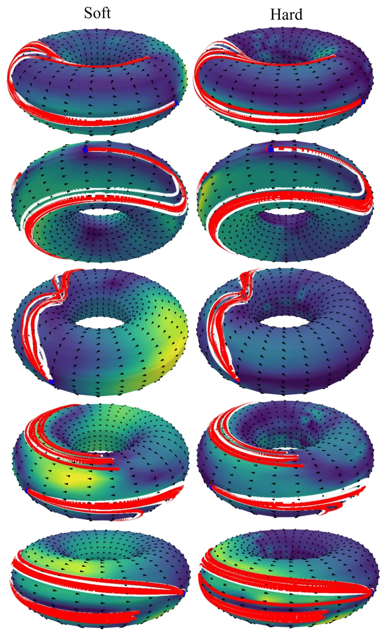 LASA T2 vector fields
